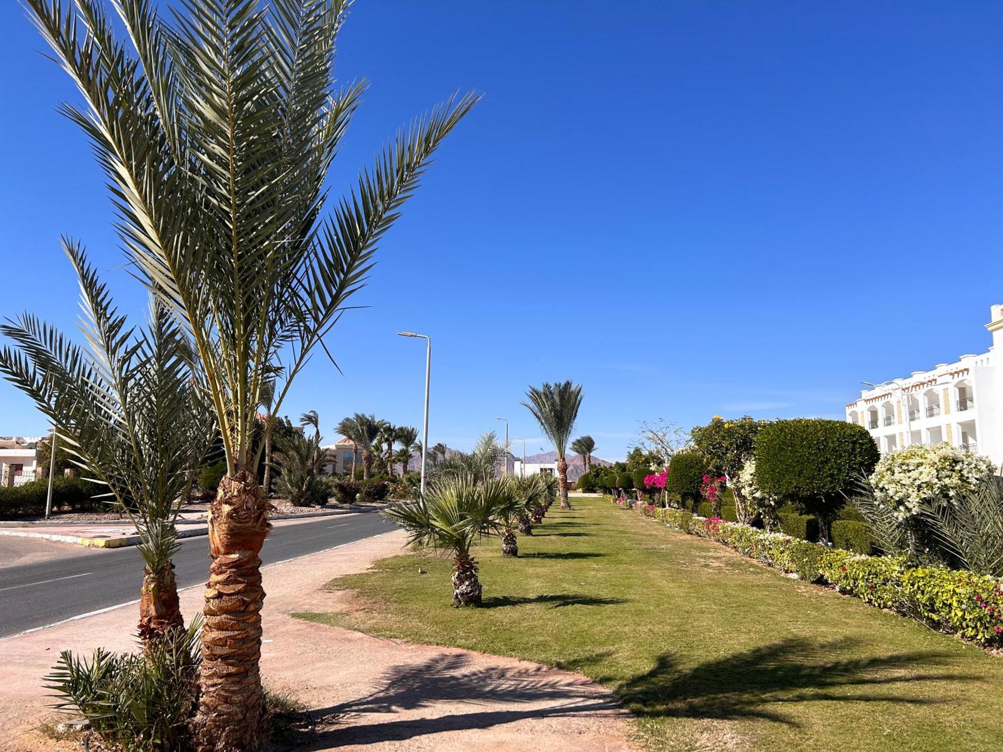 Cosy Studio On The First Floor With Lovely Terrace And Personal Garden Area, Pool View And Free Beach Access In Sharm Hills Resort Exterior photo